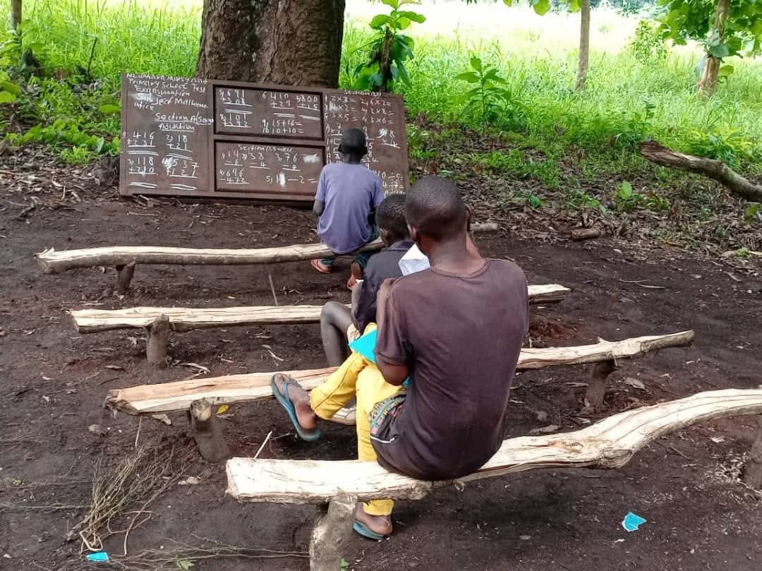 Outdoor school